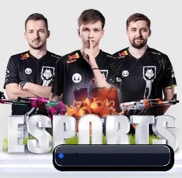 6t体育官方 APP | 6TSPORTS